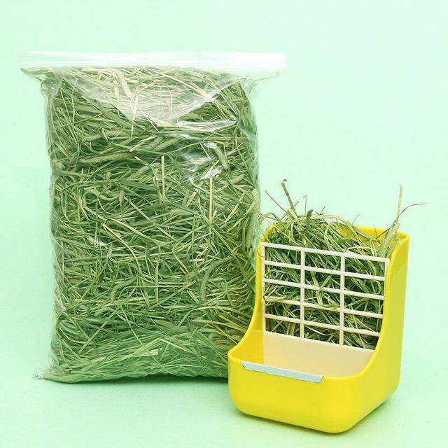 提摩西草牧草美悦提摩西草牧草