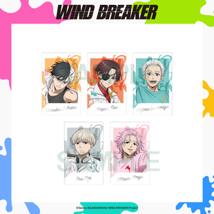 BREAKER WIND 防风铃 AGF24 周边 盲抽相卡 现货ANIPLEX