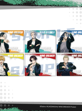 【现货 ANIPLEX】WIND BREAKER 防风铃 盲抽角色合影透卡 周边