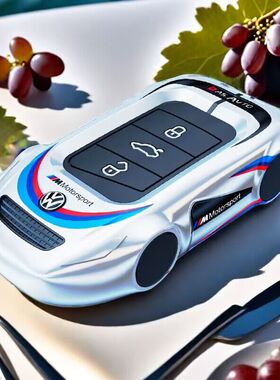 大众2023款朗逸钥匙套途观L宝来帕萨特polo速腾迈腾CC途岳探歌扣