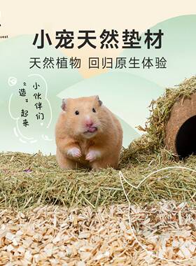 NRQ仓鼠木屑玉米芯垫料用品夏天造景除臭花草金丝熊纸粒杨木刨花