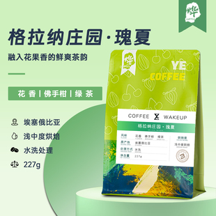 种浅度烘焙精品咖啡豆227克 格拉纳庄园瑰夏 千烨咖啡 埃塞俄比亚