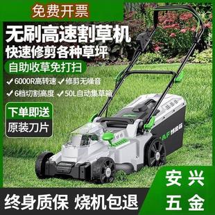 德国进口斯蒂尔技术手推式 草坪修剪机割草机家用除草插电动剪草机