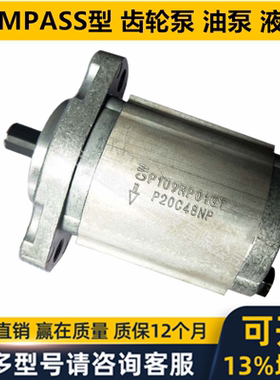 齿轮泵P102 P101 P127 P135 P105 P106 P107 P109 RP01GT RP016M