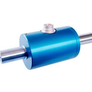 G21_21 100KG LORENZ 3G6 M350 现货 DR2112 L6G