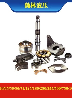 A4VSO40/45/50/56/71/125/180/250/355/500/750/1000柱塞油泵配件