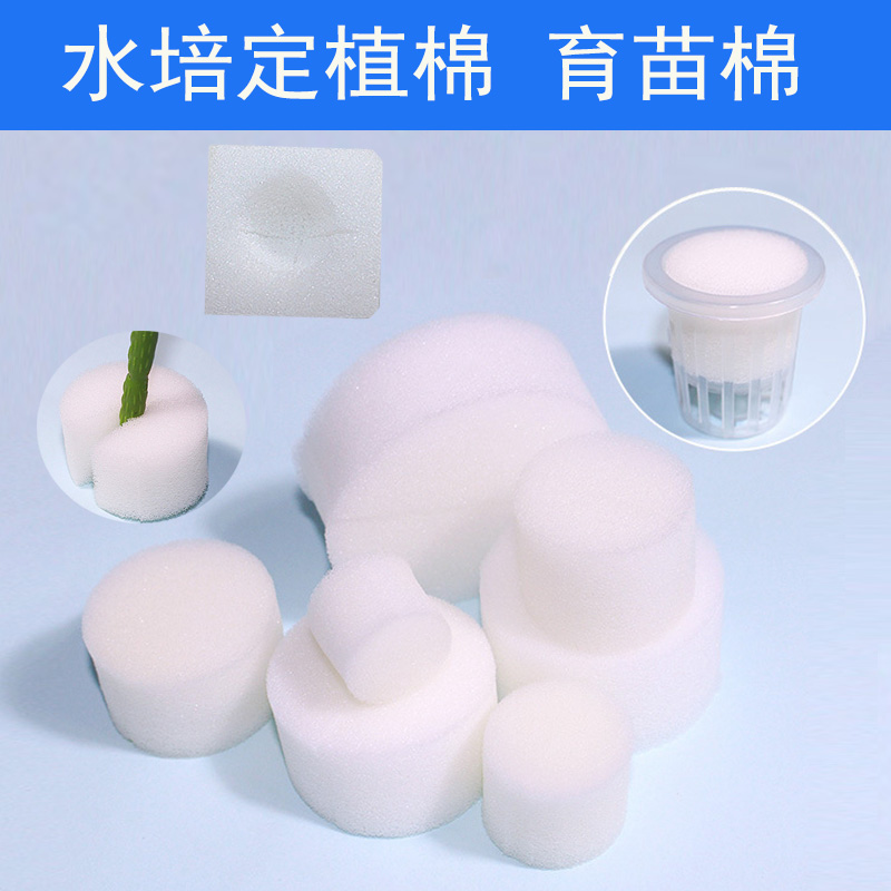 种菜无土栽培水培塑料杯定植海绵