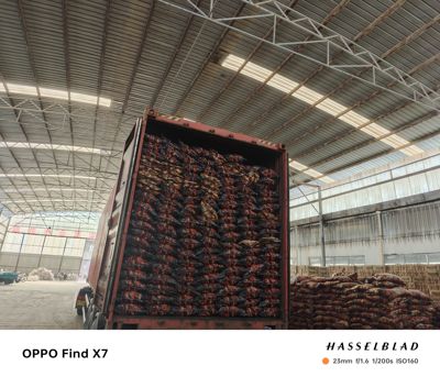 碳咖啡炭原木炭烤串烤腰滴油不起火烧烤店专用炭高温无烟味回火快