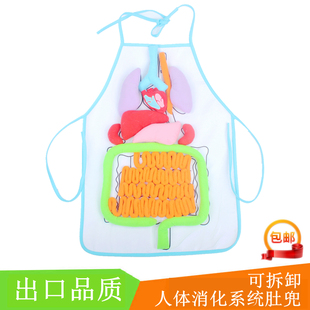 人体消化系统肚兜围裙人体器官模型粘贴教玩具幼儿园科学教具挂袋