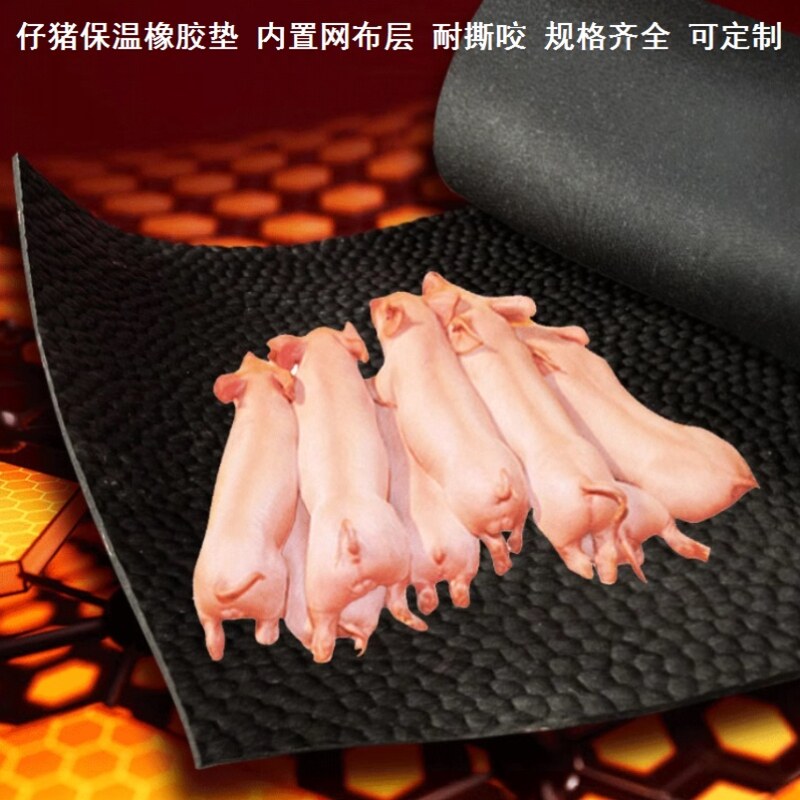 地上铺的垫子胶垫铺地防滑垫宠物防撕咬长方形垫片仔猪保温垫保暖