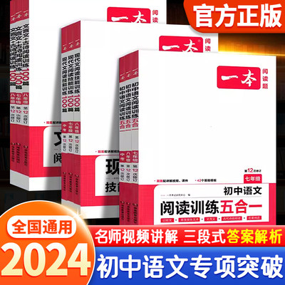 2024版一本初中语文阅读理解