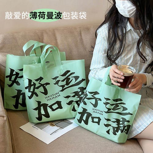 高颜值服装店手提袋磨砂购物袋