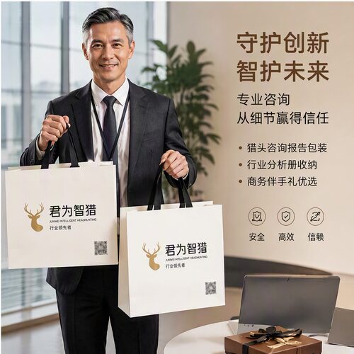 纸袋手提袋猎头咨询公司人才尊享伴手礼加厚包装袋购物袋定制Y593