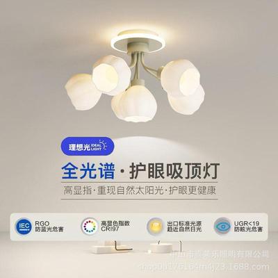 The main bedroom chandelier is a sweet, romantic childrens