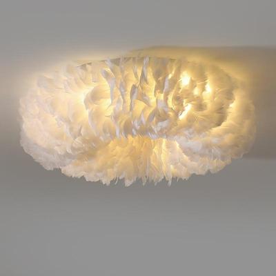 Feather bedrooms suck a light from the modern living room li