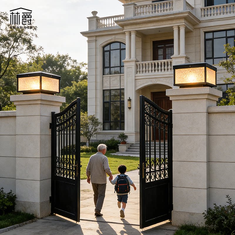 20CM�ӵ��-����20-30CM���� ̫���ܻ����ˮ��ͷ�� 161Ԫ