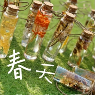 幼儿园春天环创手工DIY干花标本玻璃瓶美工区植物角材料吊饰挂饰
