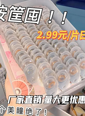 灰色美瞳日抛混血感大直径隐形眼镜10片装一次性高含水30片次抛TN