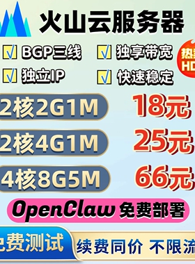火山云服务器主机租openclaw部署BGP火山引擎vps方舟Coding Plan