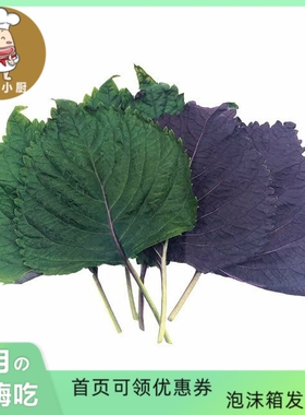 VGBB紫苏 Shiso / Perilla Leaf 25g