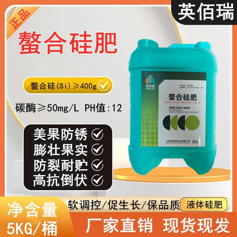 硅肥叶面肥小麦水稻抗倒伏促分蘖果树蔬菜药材通用液体硅肥水溶肥