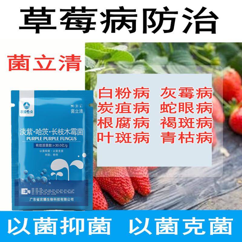 草莓专用药套餐细菌性角斑病白粉病炭疽病根腐病叶枯病防畸形烂果