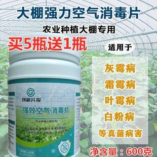 大棚空气消毒片大棚烟雾杀菌剂杀菌片空气消毒剂熏棚白粉病专用药
