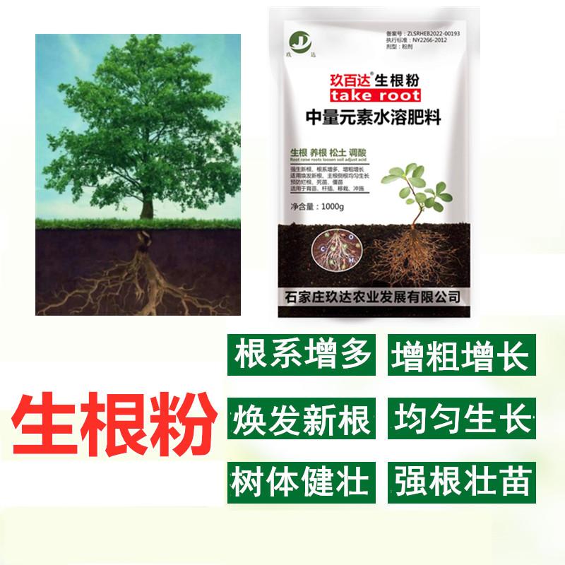 强生根粉植物通用扦插用树木壮苗生根剂快生根移栽农用营养液力速
