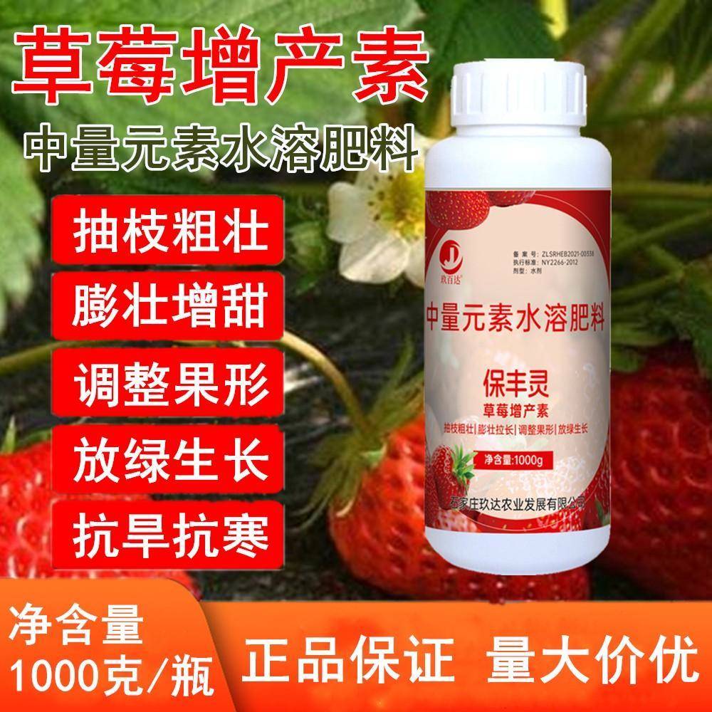 草莓拉长膨大素草莓专用水溶肥靓果美果增产剂花芽分化素生根肥料