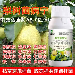 梨锈病腐烂病黑星炭疽杀菌剂防裂防落保花保果非农药梨树专用药