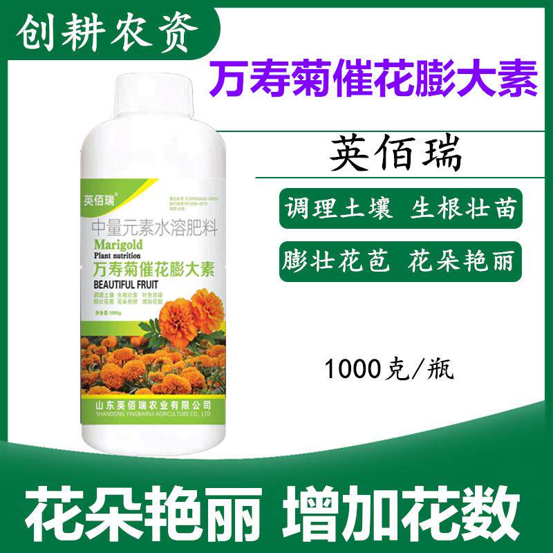 菊花 花果膨大 促进生长 增花增艳 花期长 含腐殖酸水溶肥料叶面