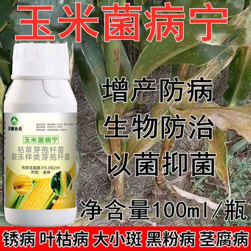 玉米锈病专用药菌立清增产素大斑病茎腐病粗缩病叶斑病防病杀菌剂