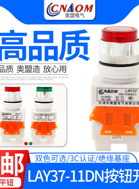 奥盟电源开关LAY37按钮开关Y090-11DN自复位带灯220V高头点动22mm