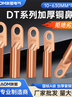 DT铜鼻子接线端子电线铜线鼻子镀锡堵油铜接头25/35/50平方铜线耳