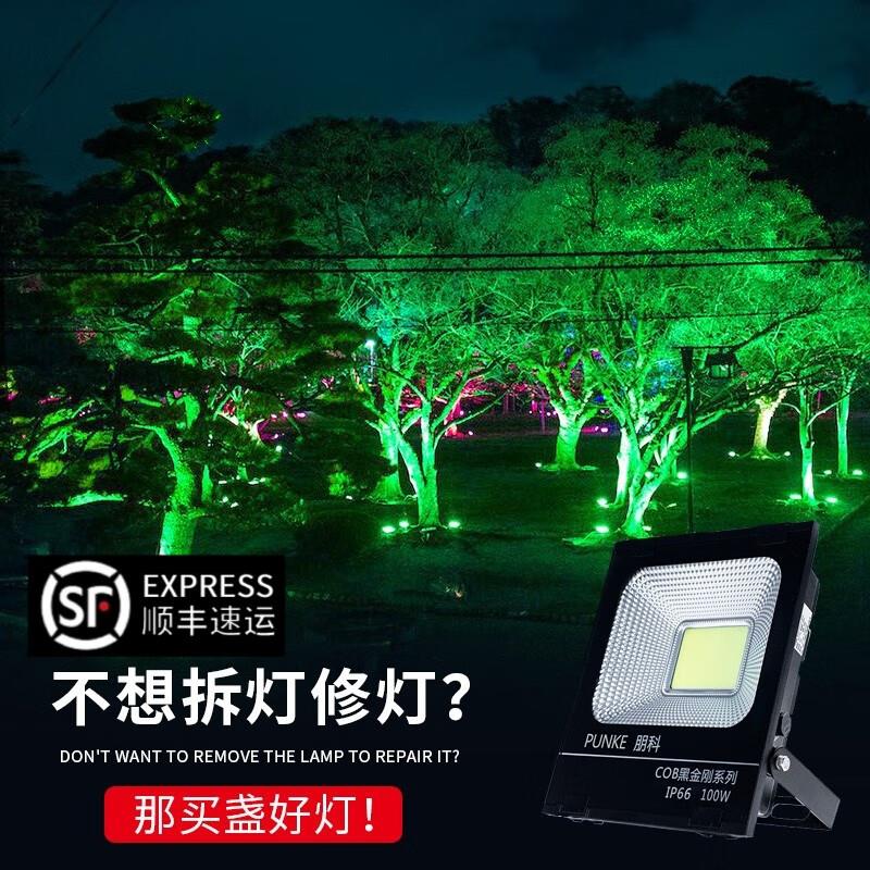 朋科照树灯绿色投光灯外墙灯室外装饰灯射树灯户外防水插地灯绿光