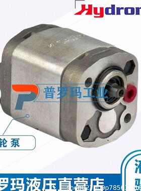 意大利Hydronit齿轮泵E60504002 0.2CC E60504004 E60504006油泵