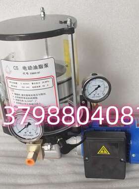 53800-87电动润滑油脂泵BIJUR DELIMON贝奇尔220V黄油泵2L干油泵