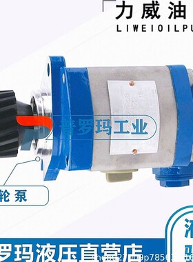 合肥力威液压泵3407020-551-JH2E汽车动力泵 转向泵QC12/10-4DF3B