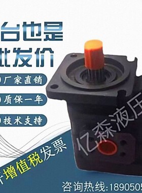 高压齿轮泵CB-J2032/2040/J2050/2063/2080/2100-F1-1R/2R/L油泵