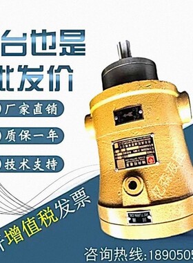 精工牌变量轴向柱塞泵10/16/25/32/40/63/80SCY14-1B剪板折弯机