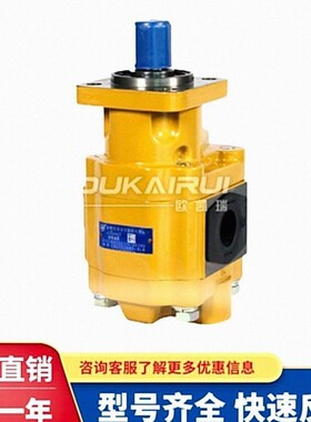 合肥长源液压齿轮油泵CBGTC2080-BLH CBGTC2063-BLH 高压动力油泵