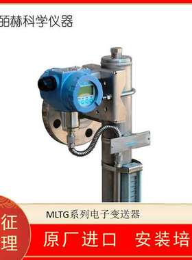 意大利TERRANOVA SPRIANO DS-MLTG系列电子变送器