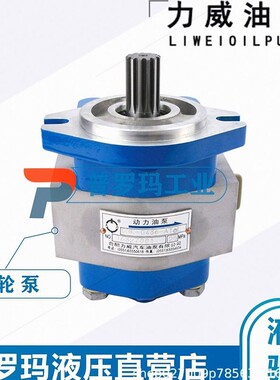 件号612630030302叉车汽车力威转向泵潍柴动力巨力QC22/15-WP12A