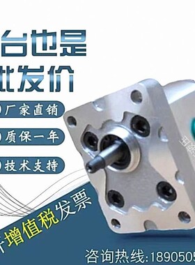 上海大众SDH齿轮泵CBD2-F201.3/202.7/203.4/204.1/205.1/206.1