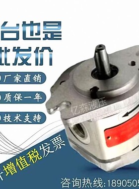 德国捷克JIHOSTROJ齿轮油泵QHD07/10/13/17/19/23/27/29/32/36/38