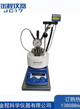 Schlenk高压反应釜WS-MSAR-20A不锈钢反应釜小型高温高压反应釜