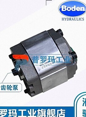 BODEN微型齿轮泵BKP0.25BOSO.19GOLO-B BKP0.25B0D0.26GOLO-B
