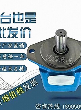 威格士VICKER 叶片泵V10-1P/2P/3P/4P/5P/6P V20-1P6R/7R/8R/9R-1