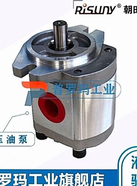 Risuny台湾朝田齿轮泵P10SRP01G P101/02/27/35/05/06/09/07RPG
