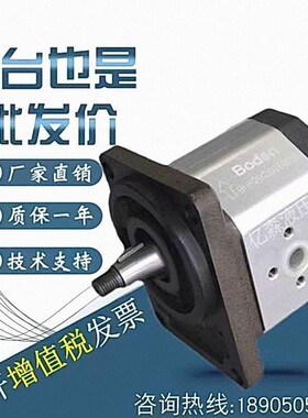 博顿Boden齿轮泵BKP0.5B/1Q0/1B0油泵BAP1B0/1A0/BHP/BDP/BHM系列